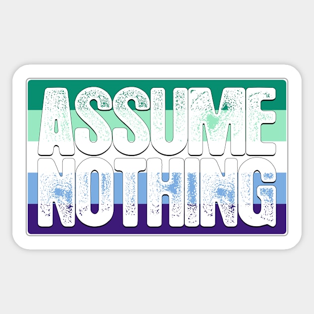 Assume Nothing Gay Male Pride Flag Sticker by wheedesign